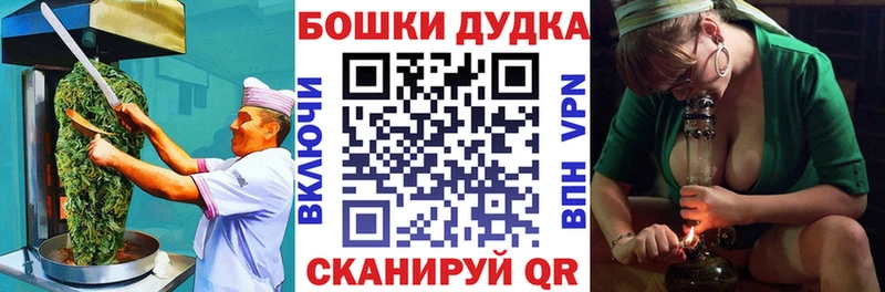 Купить где  Сосновоборск  Canna-Cookies конопля 