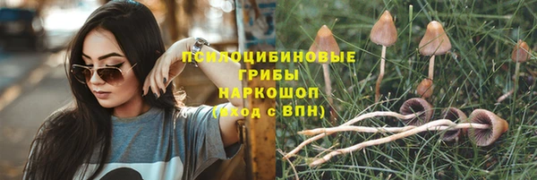 гидра Алексин
