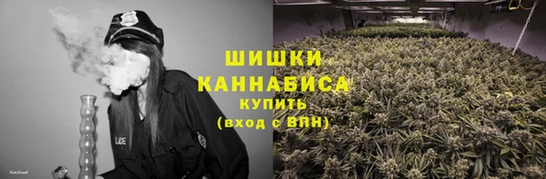 гидра Алексин