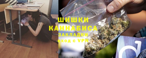 гидра Алексин