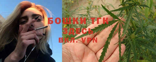 гидра Алексин